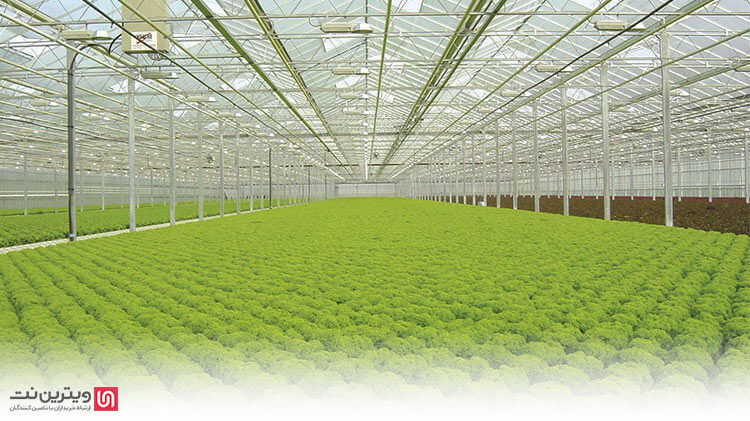 آنچه در ابتدا برای ساخت یک گلخانه مهم است، تناسب فضای آن با نوع سیستم سرمایشی است که لازم دارد.