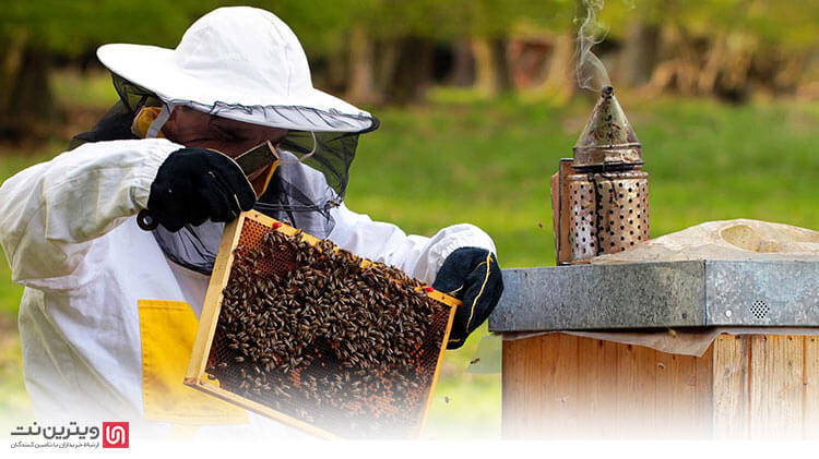 وسایل و تجهیزات مورد نیاز برای زنبورداری شامل کندوی عسل، وسایل تلقیح مصنوعی زنبور، ترانس موم دوز، مهد ملکه، قفس حمل ملکه، چرخ حمل کندو و گرده خشک کن برقی است.