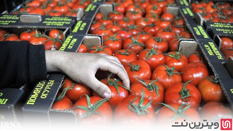 کسب درآمد در منزل از تولید رب گوجه فرنگی