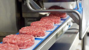 راه اندازی خط تولید همبرگر